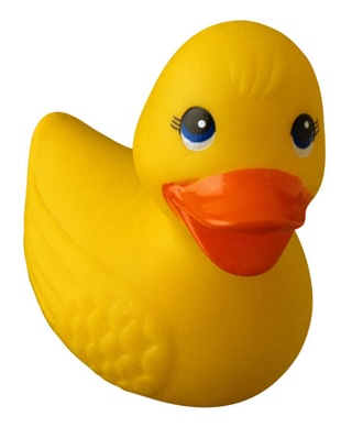 Rubber ducky you're the one...